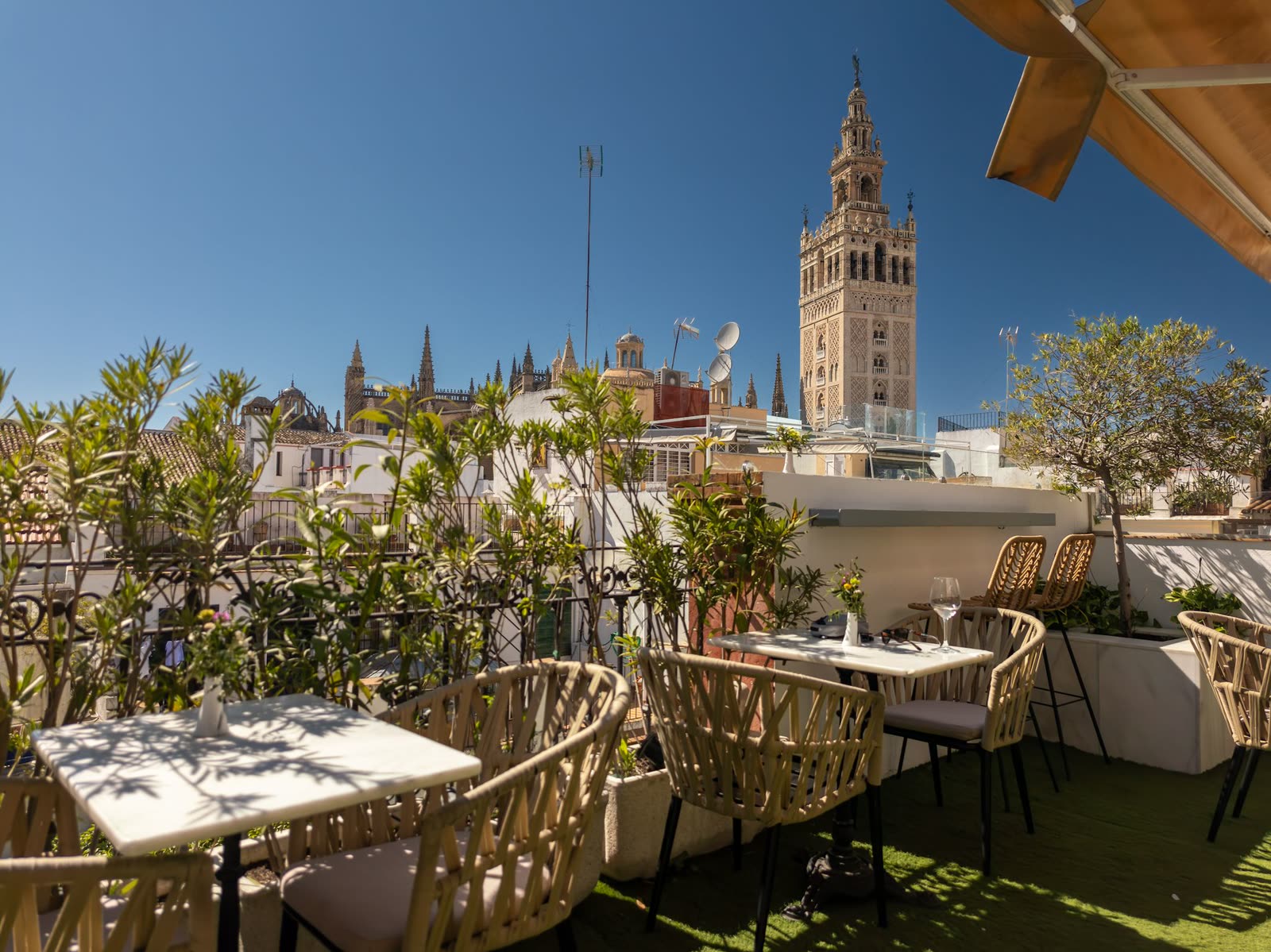 Rooftop Bar overlooking the Cathedral in Seville, Spain